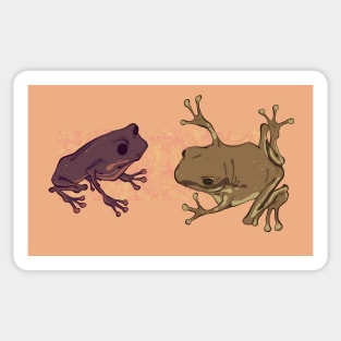 Froggies! Sticker